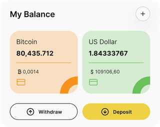 Solidêre AfriGroei automated trading solution — dashboard overview